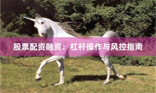 股票配资融资：杠杆操作与风控指南